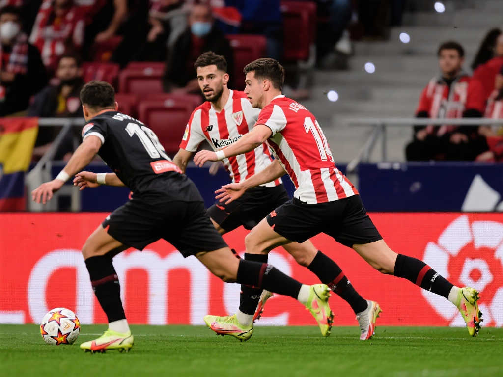 灰狼两分憾 灰狼两分憾